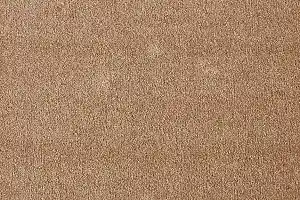 Ковролин AW Seduction 41 фото  | FLOORDEALER